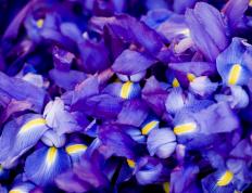 开云体育-安哥拉巴黎告捷，卢卡库焦点战封神，足球之夜的传奇篇章