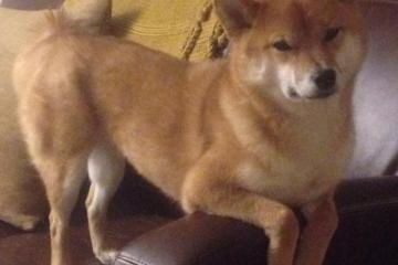 开云体育官方网站-2026世界杯之夜，基米希数据全面爆炸，德国中场统治战局