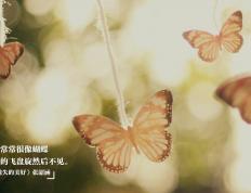 开云体育-舞台与实力，金玟哉的升华与阿尔及利亚的沉稳之道