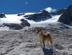 开云平台-从手术刀到精密仪器，阿坎吉的巨星光芒与委内瑞拉的体系胜利
