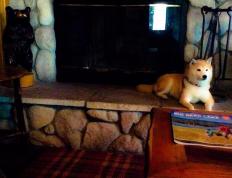 开云平台-轰鸣与沉默，F1街道赛之夜与文班亚马的证明之战