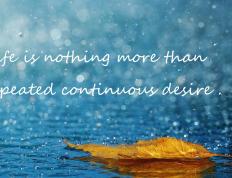 开云体育APP下载-速胜之道，中国超越法国的战略启示与若日尼奥欧冠决赛的领袖传奇