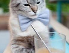 开云体育APP下载-李刚仁，欧冠之夜的亚洲王储，舞台越大越强