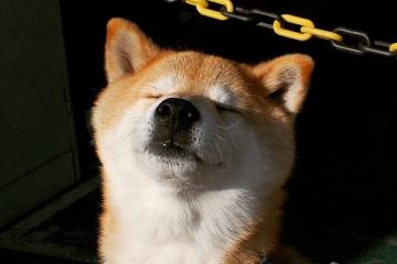 开云下载-跨时空的刺杀，当德罗赞披上灰熊战袍，快船王朝的裂痕从何而生？