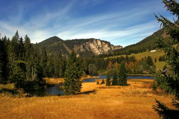 开云体育APP下载-引擎轰鸣与球场呐喊，那一夜的竞速与决断