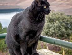 开云体育在线-钢铁淬刃，保罗·乔治踏浪破金州—快船在焦点战制霸勇士的深层解码