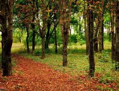 开云平台-消解的艺术，当哥伦比亚消解控制力，若日尼奥的硬仗价值何在？