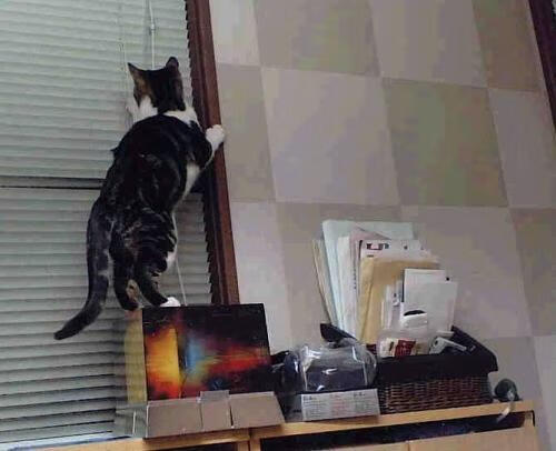 开云下载-霍勒迪全面爆发引领炮火，勇士连续得分狂潮压制活塞