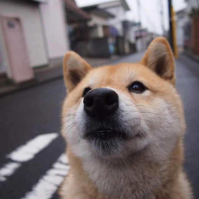开云体育登录-奥运周期关键战,罗马强势拿下哥伦比亚,剑指巴黎