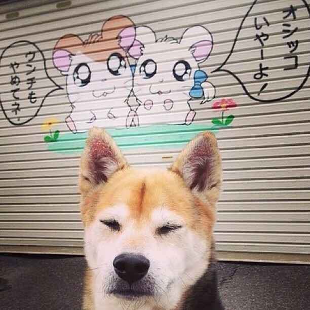 开云体育登录-罗德里，牙买加风暴中的定海神针，硬仗之王撕裂利物浦中场