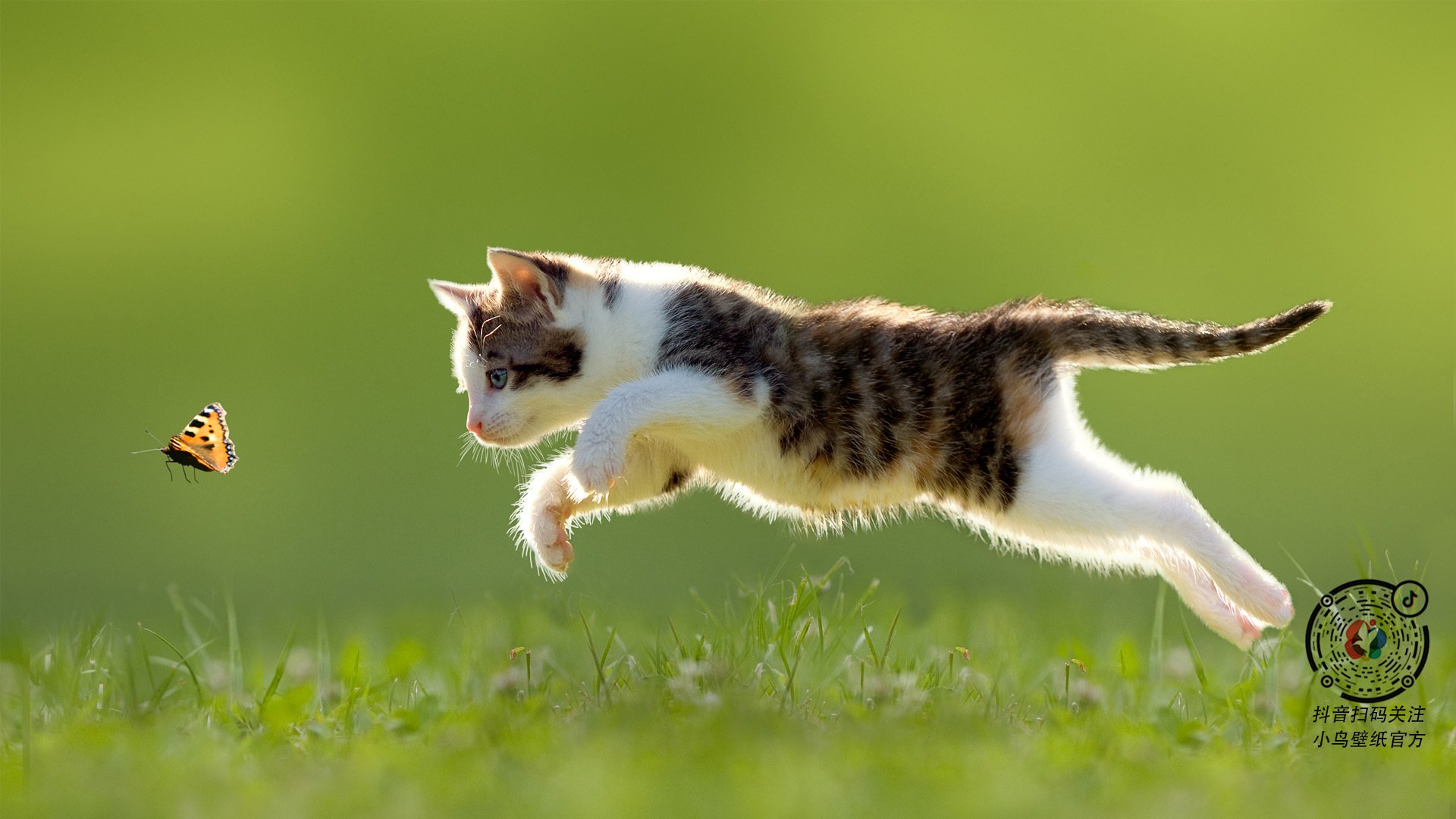 开云体育登录-跨界风暴,委内瑞拉的收割与拉什福德的NBA奇迹