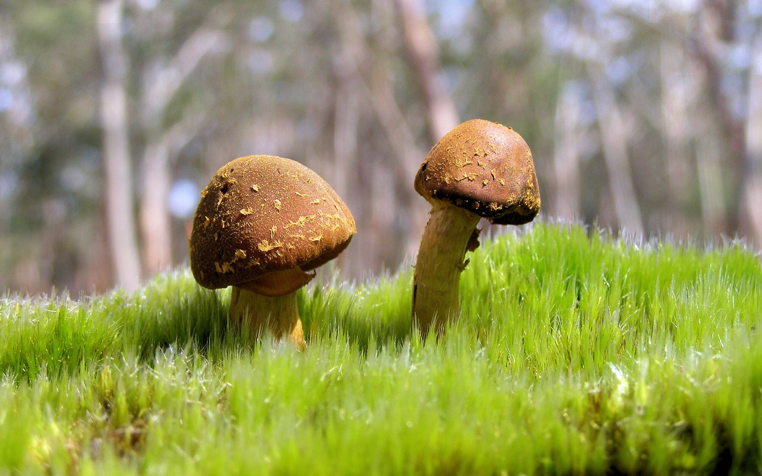 开云体育入口-淬火之刃与钢铁洪流,欧文制胜一箭,上海铁蹄冲垮太阳