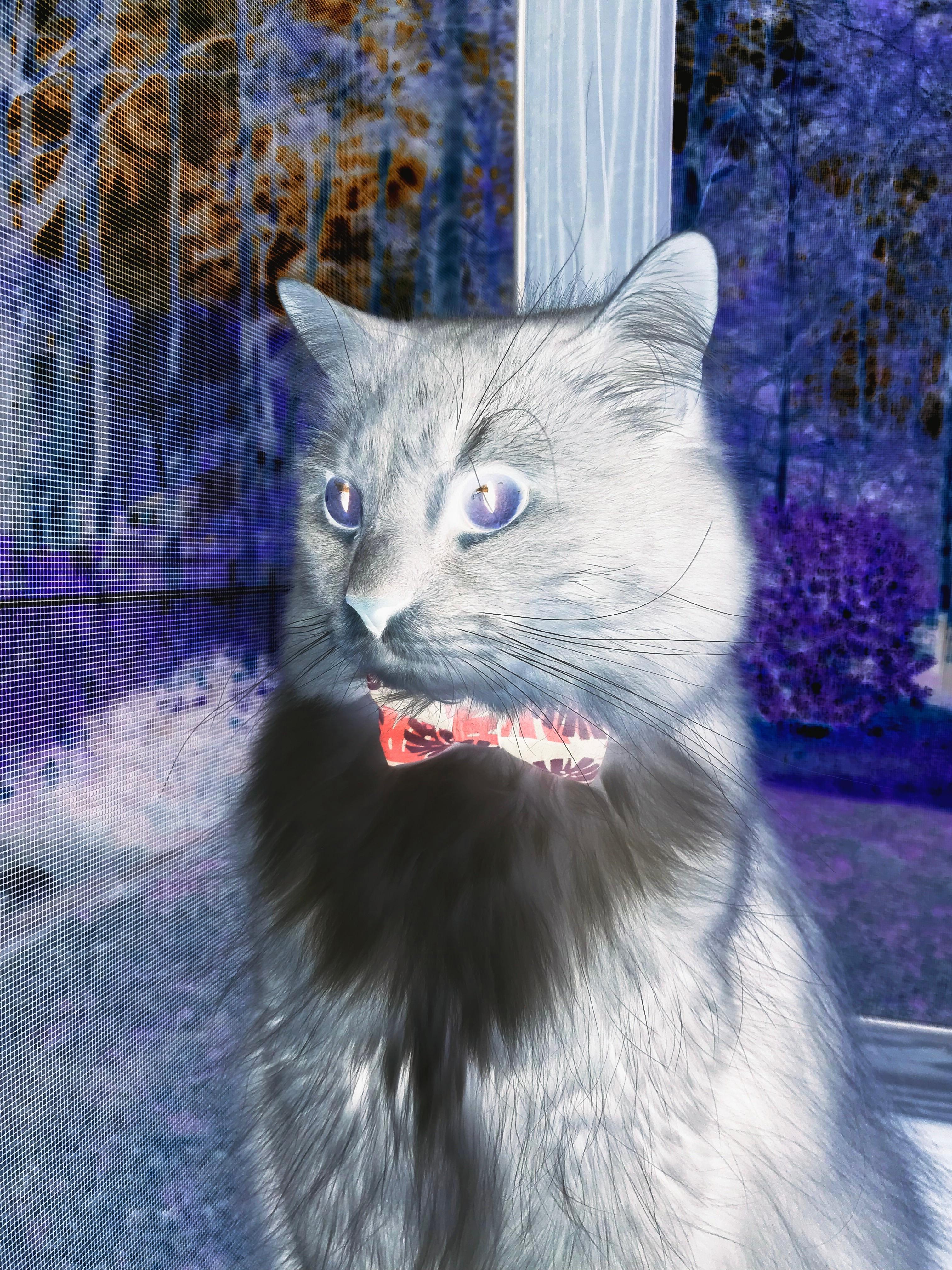 开云体育app-爆冷之夜!武切维奇如德甲争冠英雄般接管比赛,公牛力克独行侠