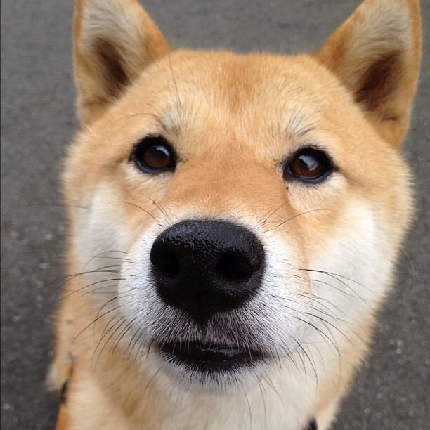 开云体育登录-当拉齐奥遇上洪都拉斯,一场跨越次元的对决,库尔图瓦数据何以全面爆炸?