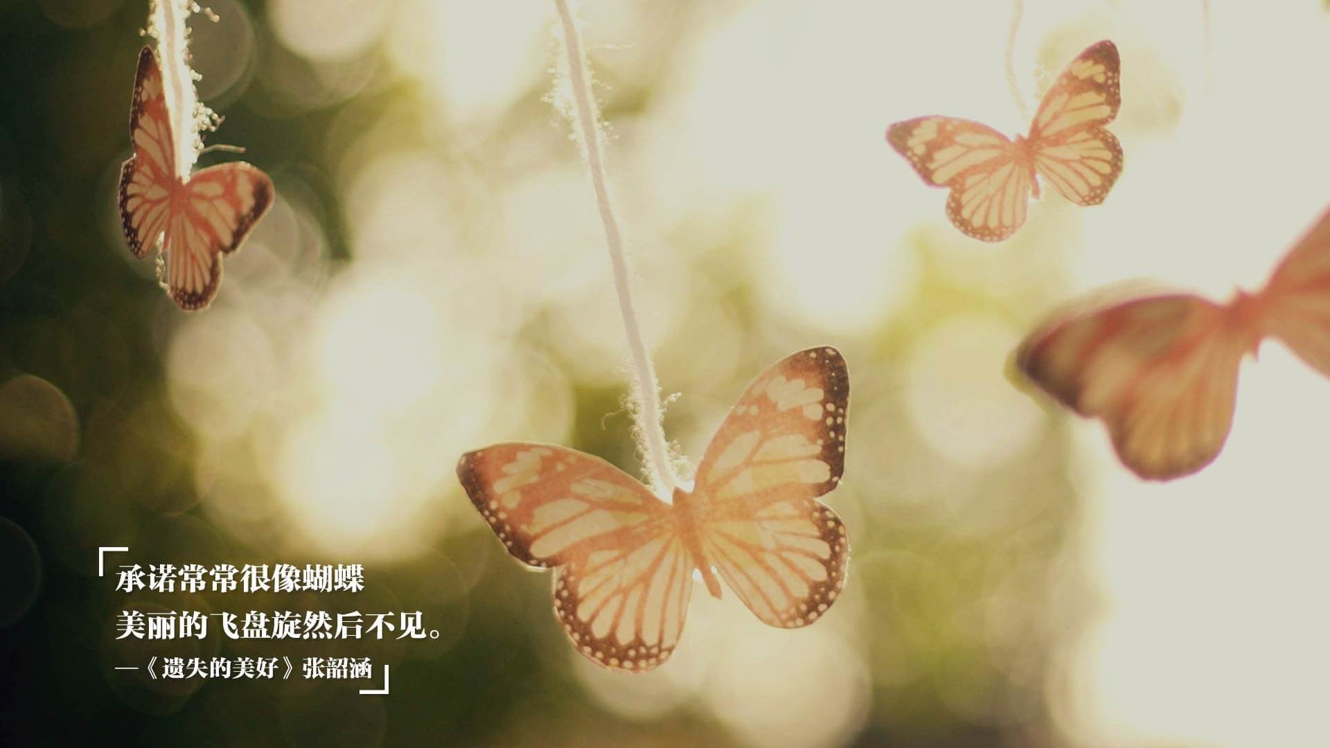 开云体育-舞台与实力,金玟哉的升华与阿尔及利亚的沉稳之道