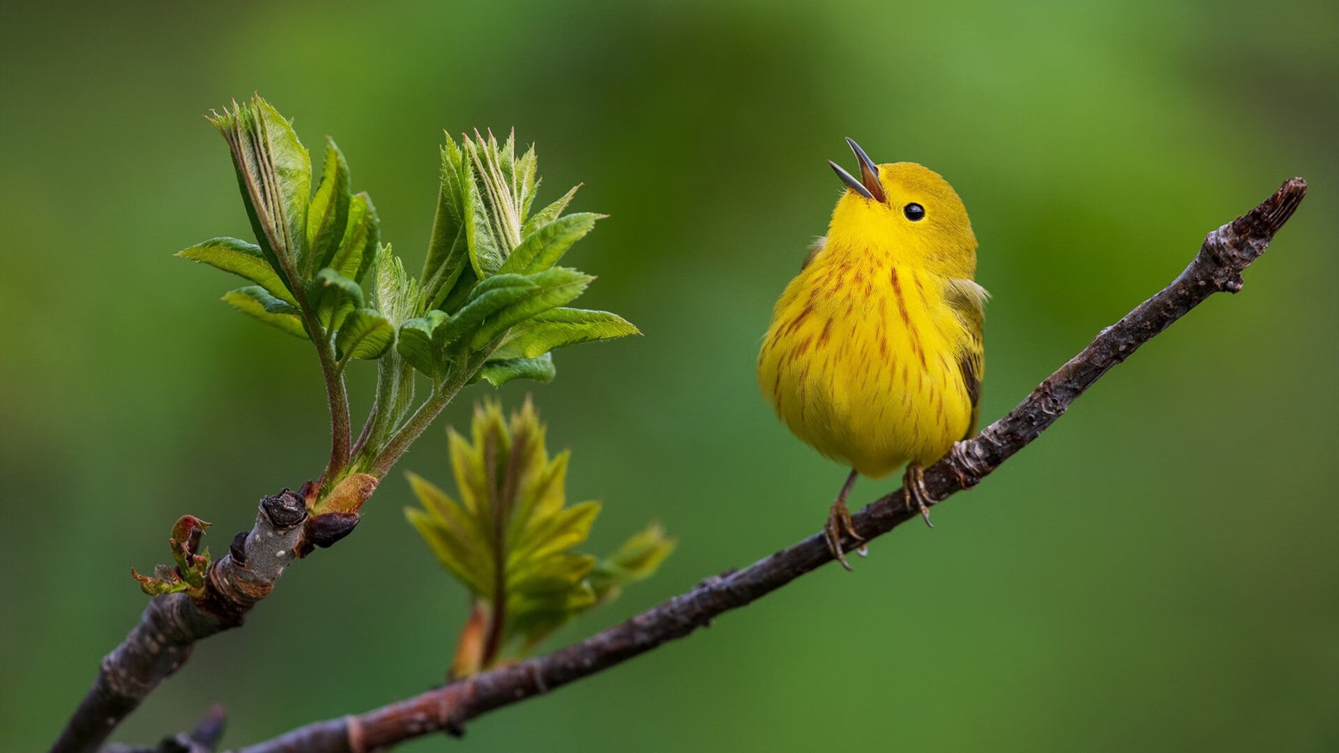 开云体育-奥纳纳临危救主!智利门神三拒绝杀铸就南美铁壁