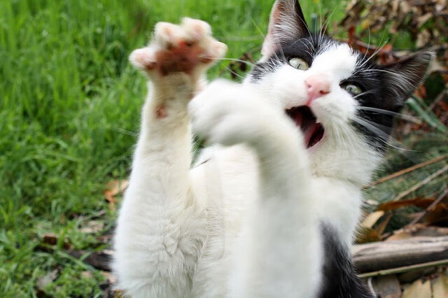 开云体育-奥纳纳临危救主!智利门神三拒绝杀铸就南美铁壁