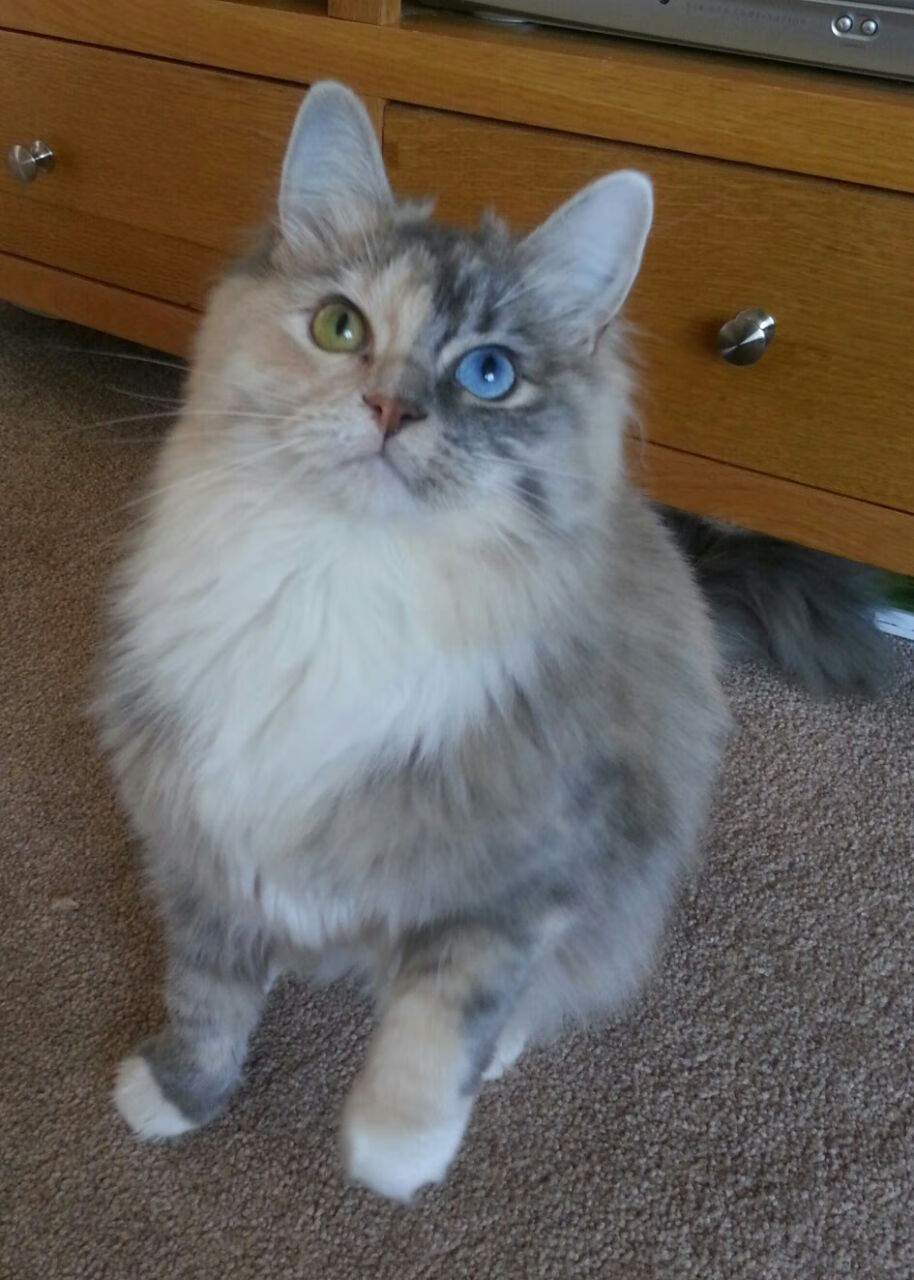 开云体育APP下载-当大帝降临五棵松，恩比德末节19分撕裂北京队防线