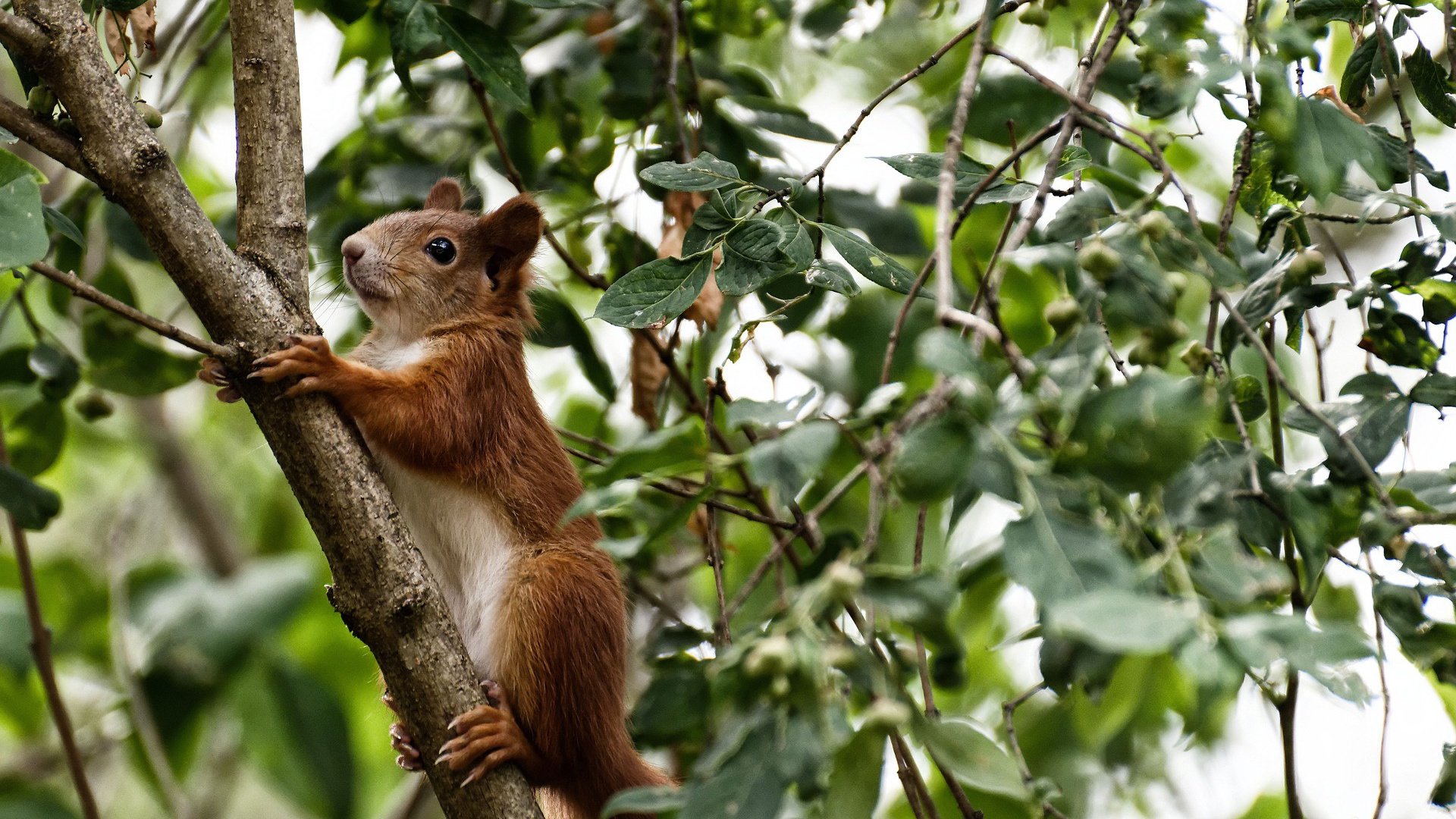 开云体育登录-亚洲风暴席卷美加墨,李刚仁破纪录之夜改写足球版图