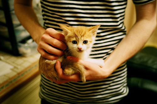 开云下载-钢铁防线与关键先生的对决,76人全面压制下库里的孤勇之战