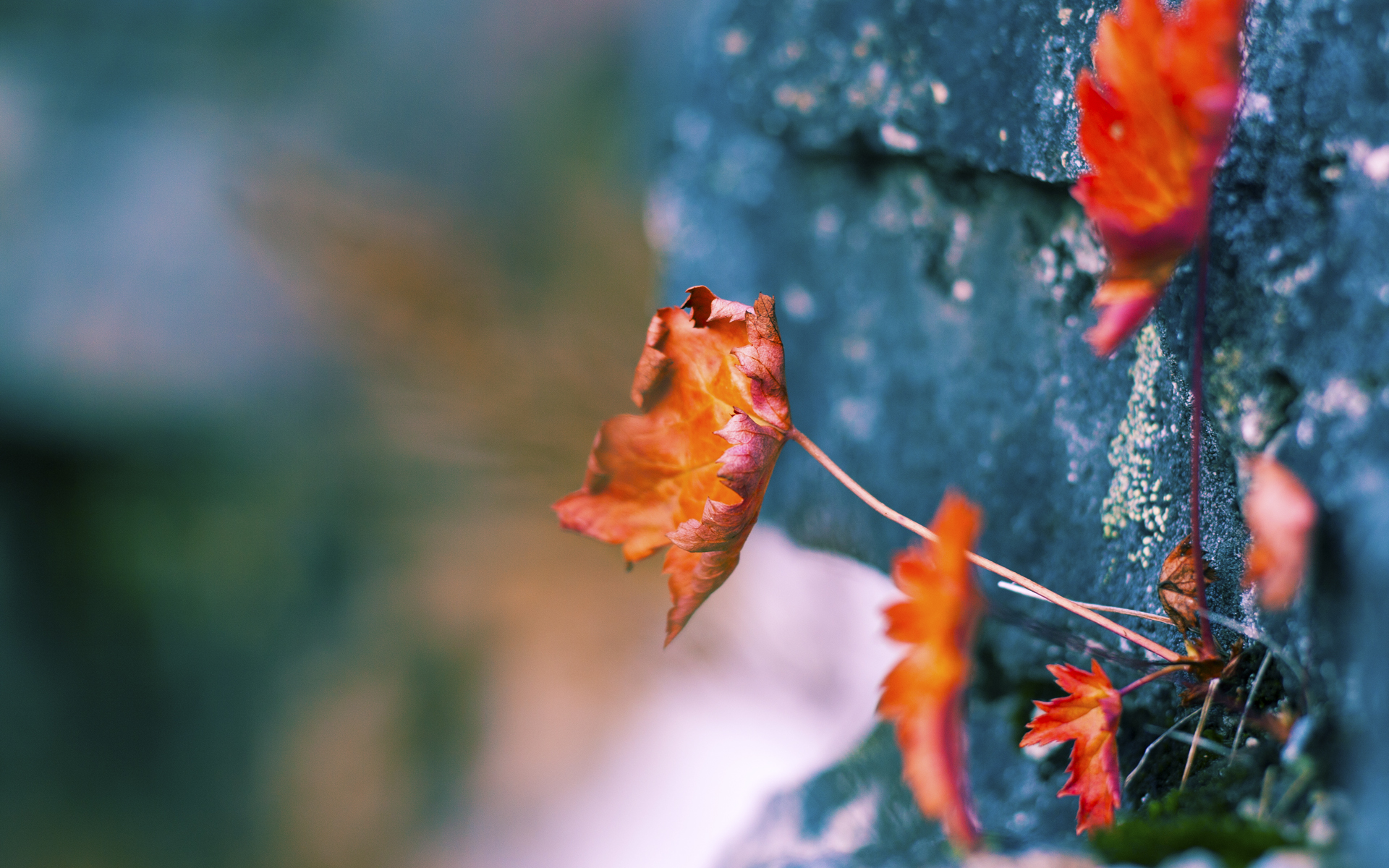 开云体育下载-横扫！拜仁制造欧冠淘汰赛惨案