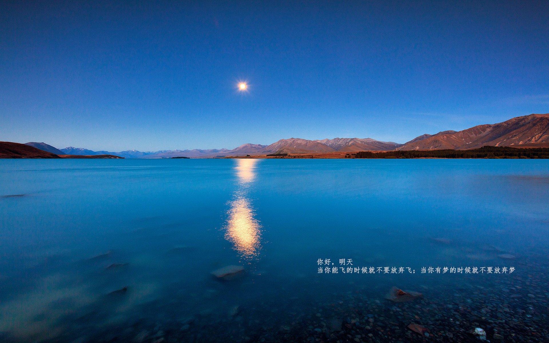 开云体育下载-狂飙的无声宣言，爱德华兹在攻防两端筑起的新长城