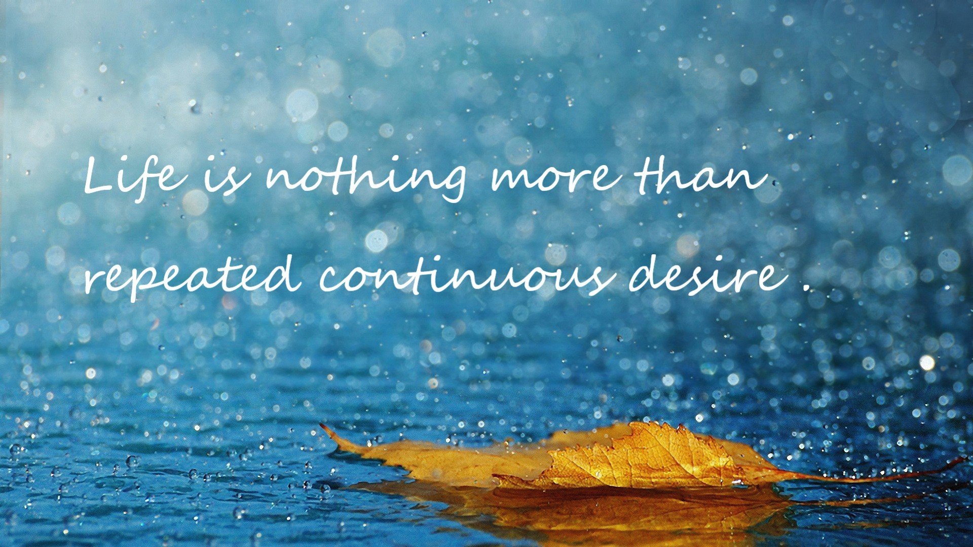 开云体育APP下载-速胜之道,中国超越法国的战略启示与若日尼奥欧冠决赛的领袖传奇