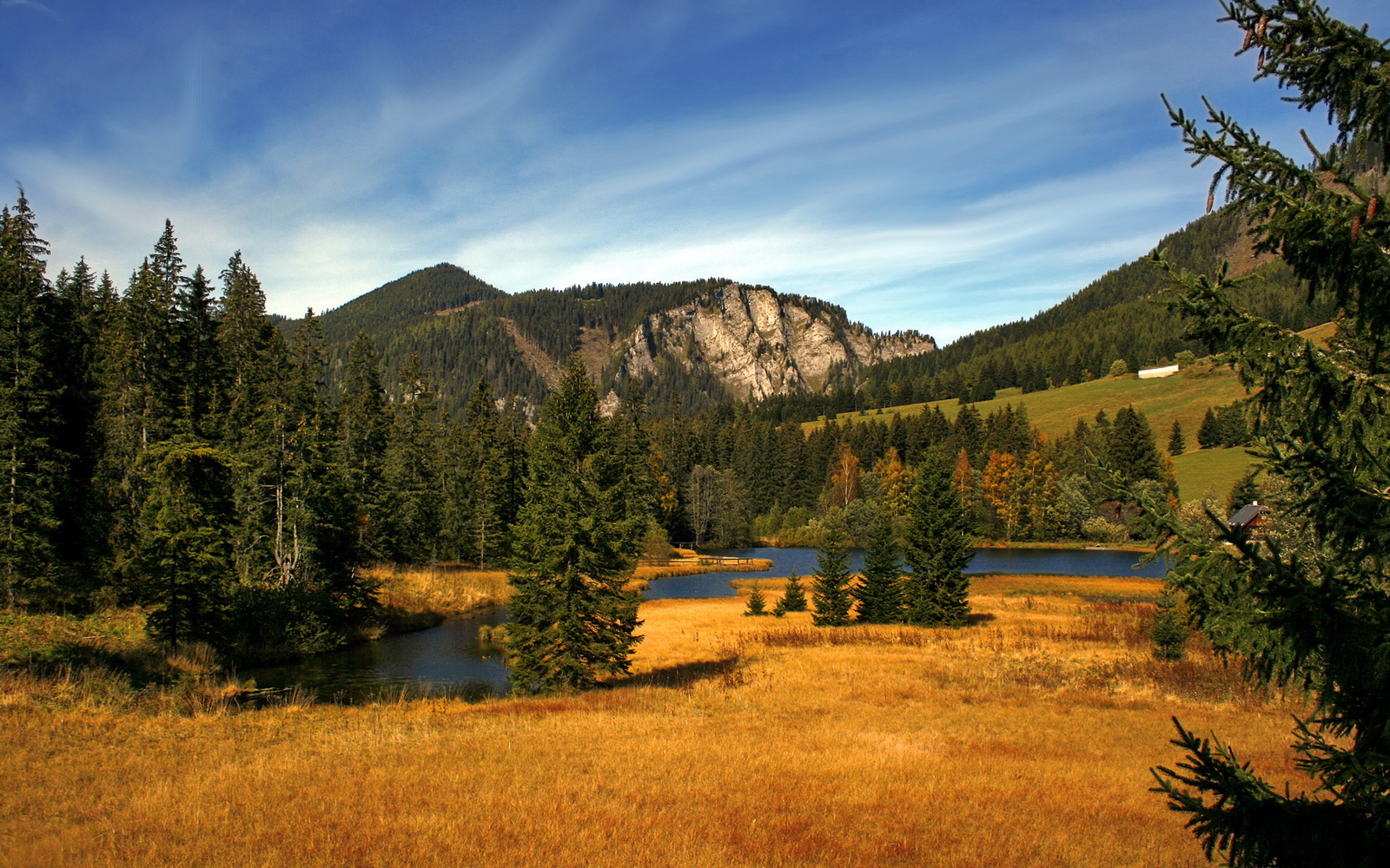 开云体育平台APP-老鹰展翅击溃火箭，米切尔关键先生主宰胜利之夜