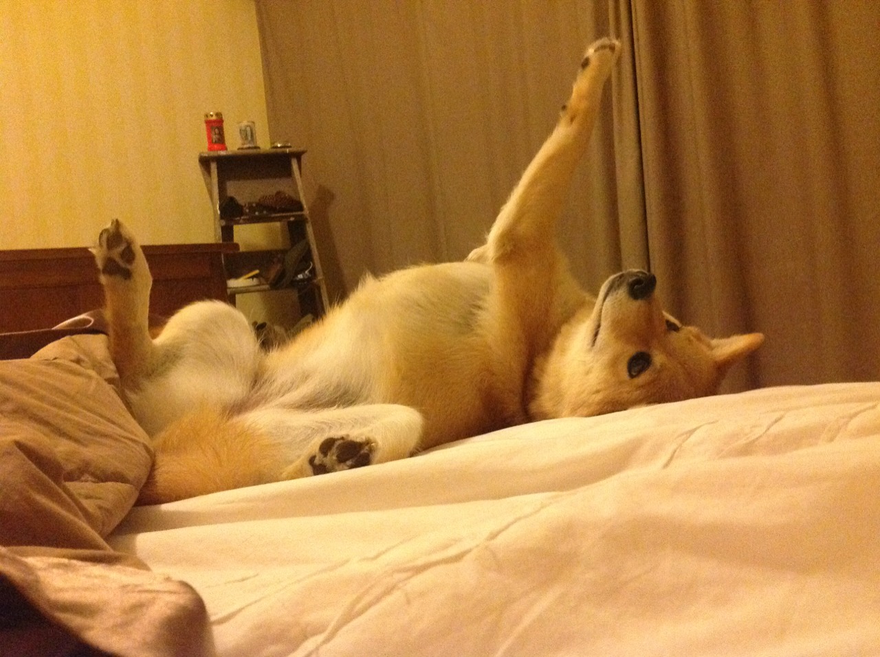 开云体育平台APP-亚平宁风暴击溃北欧铁骑，阿什拉夫以一己之力改写战局