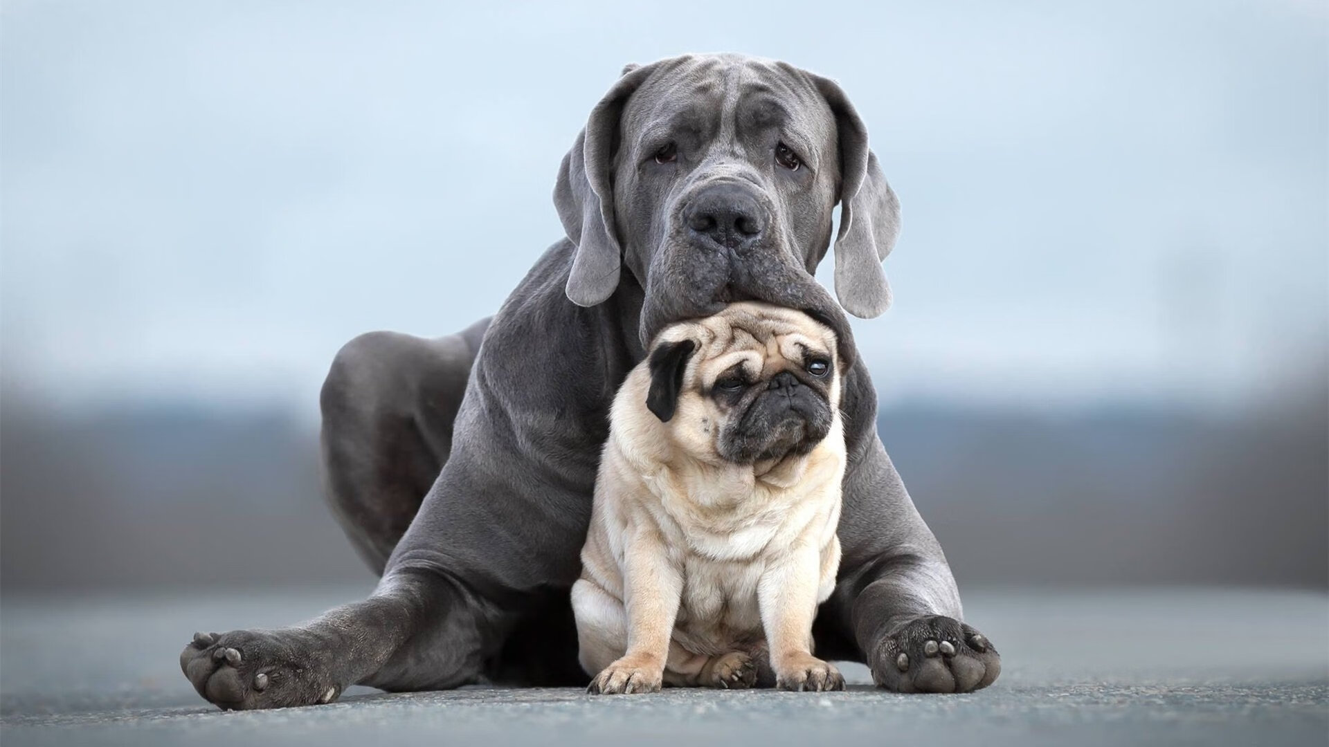 开云体育中国-神级门将！门迪一夫当关 日本险胜哥斯达黎加的背后英雄